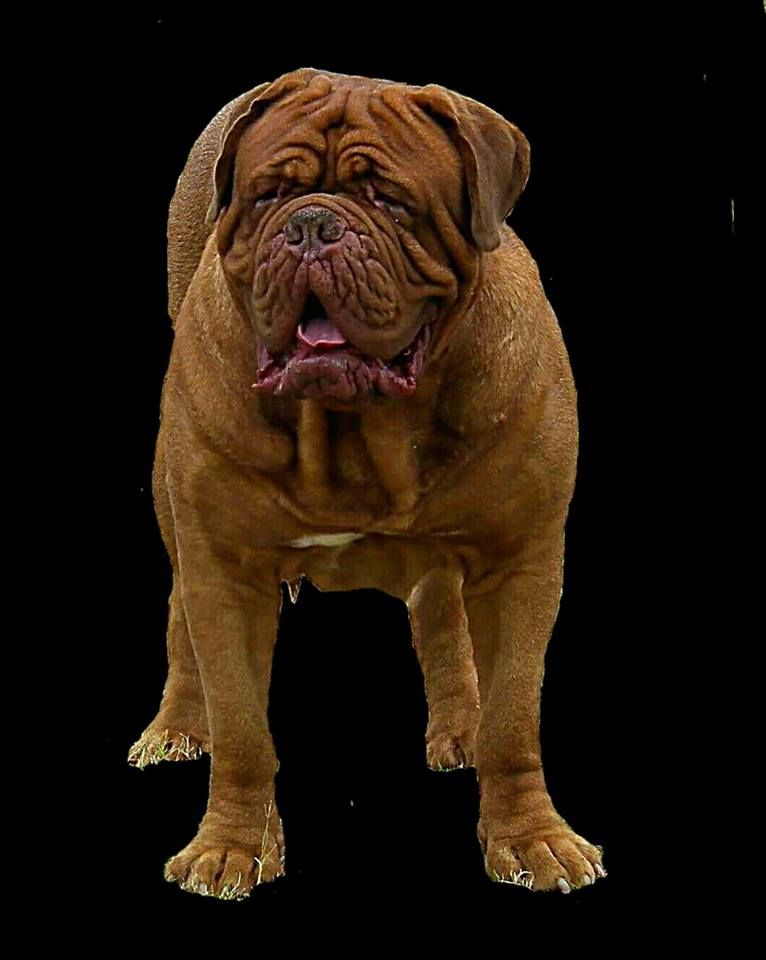 Publication : de la tribu de Laza