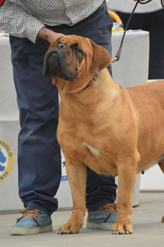 Publication : de la tribu de Laza