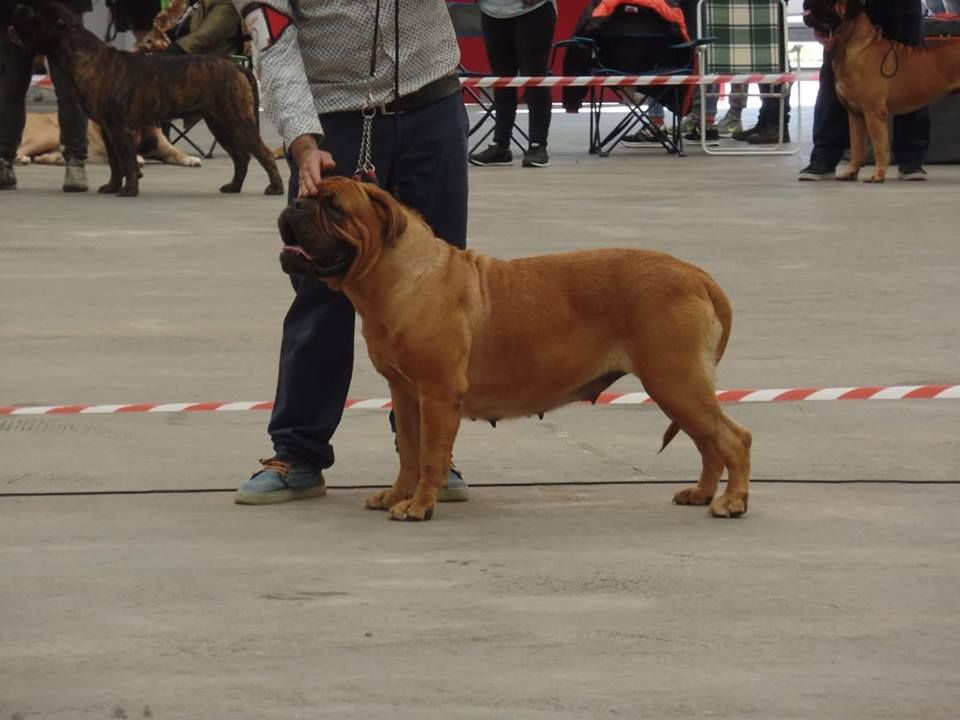 Publication : de la tribu de Laza