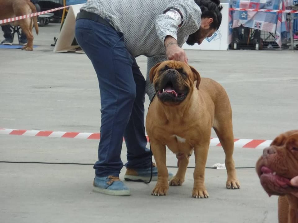 Publication : de la tribu de Laza