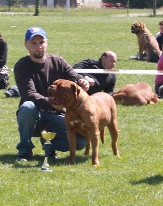 Kim z'orisku - Excellent Ring d'honneur classe ouverte