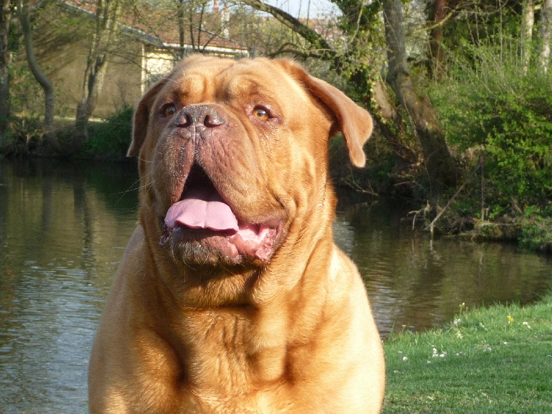 Publication : Des Jardins De Marivaux