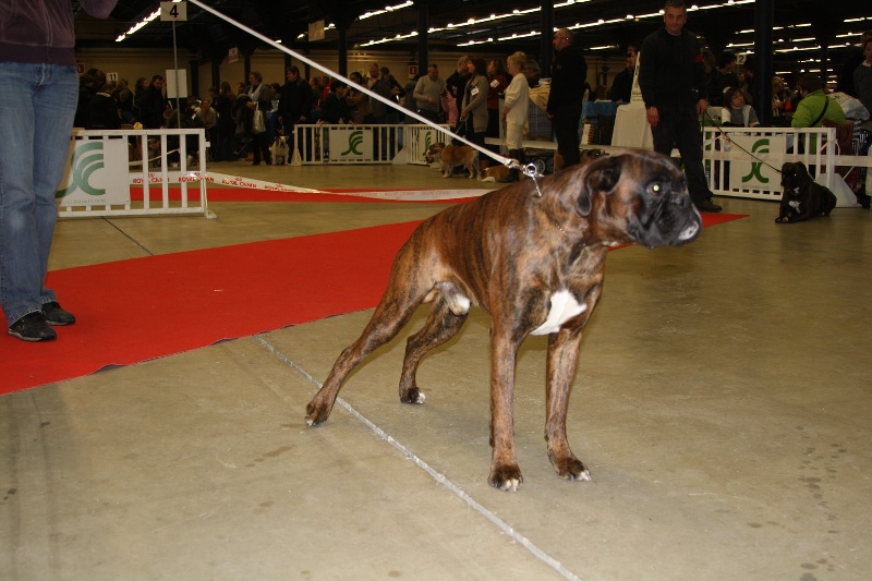 Altor du chêne de maisondoux - 4 ieme Excellent