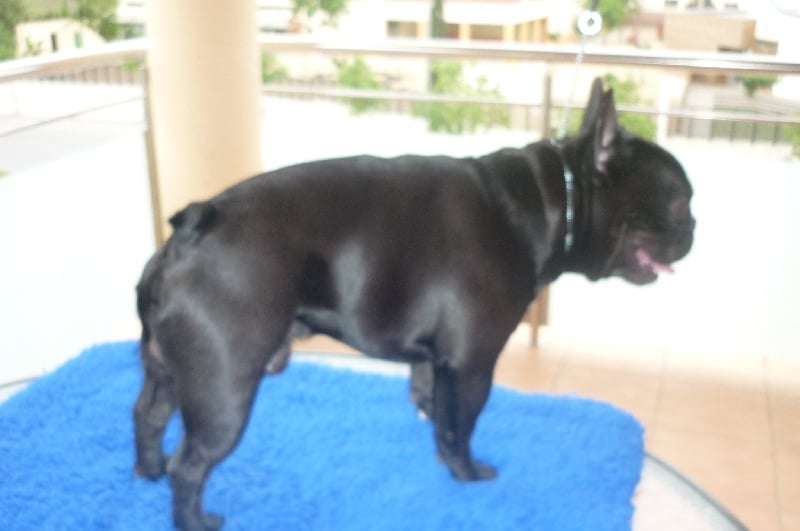 Publication : Del Golfo De Roses