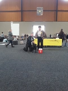 Publication : Des Terriers De Kembswood