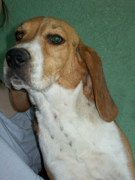 Publication : (Sans Affixe)