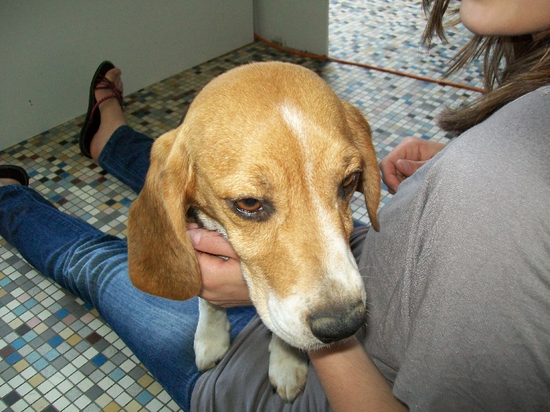 Publication : (Sans Affixe)