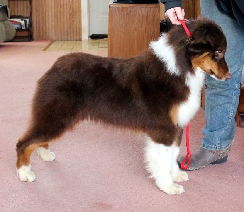 Publication : Du Domaine De La Canurie Auteur : Sarah Bowdish