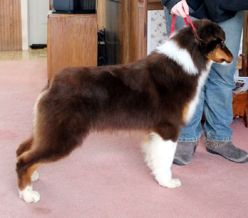 Publication : Du Domaine De La Canurie Auteur : Sarah Bowdish