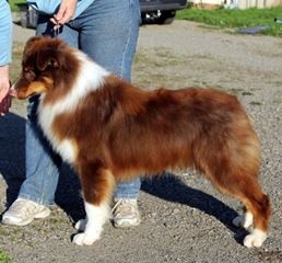 Publication : Du Domaine De La Canurie Auteur : Sarah Bowdish