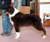 Publication : Du Domaine De La Canurie Auteur : Sarah Bowdish