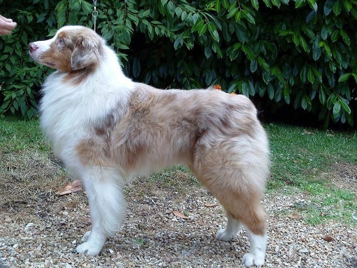 C' energie's Titre Initial