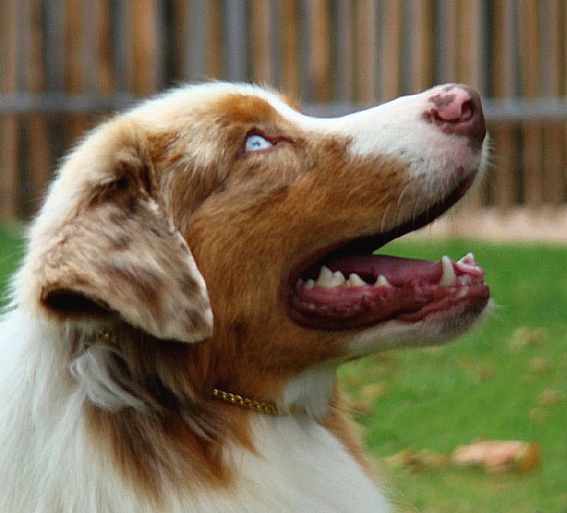 C' energie's Titre Initial