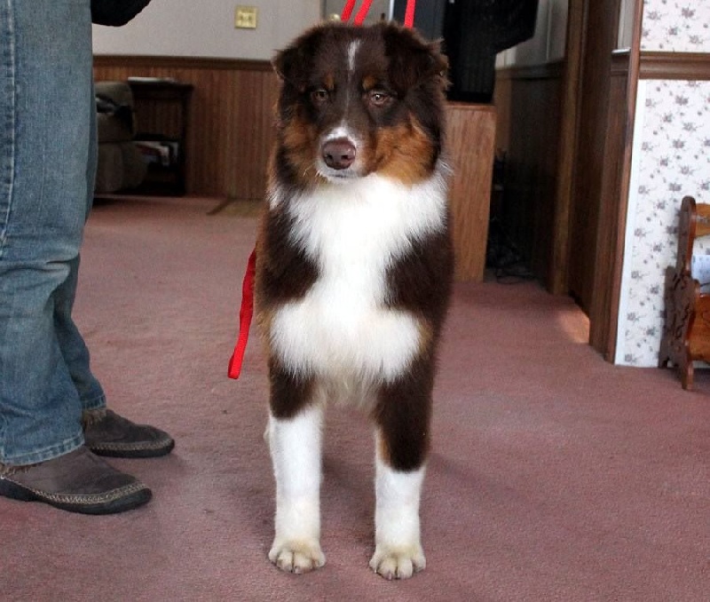 Publication : Du Domaine De La Canurie Auteur : Sarah Bowdish