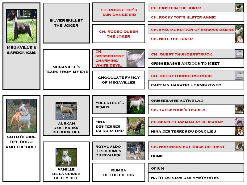 Eclipse of the moon del dogo and the bull