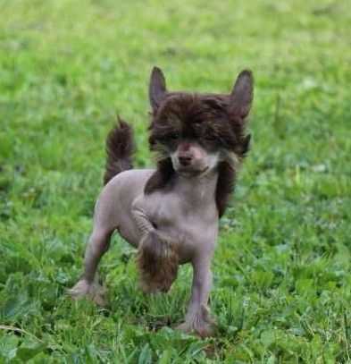 Publication : Exotic Spirit Auteur : Exotic Spirit