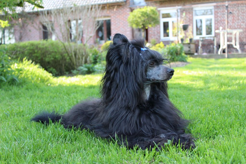 Publication : Exotic Spirit Auteur : Exotic Spirit