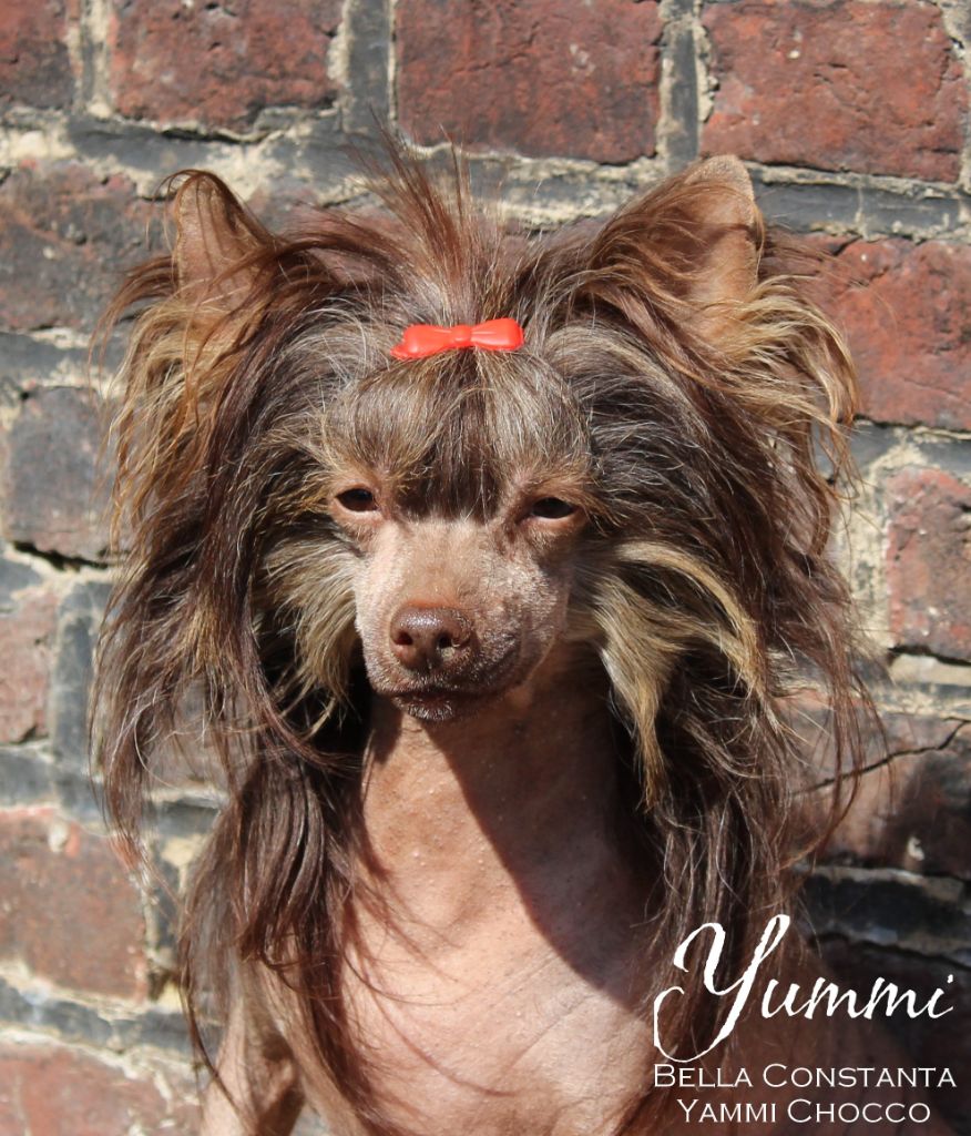 Publication : Exotic Spirit Auteur : Exotic Spirit