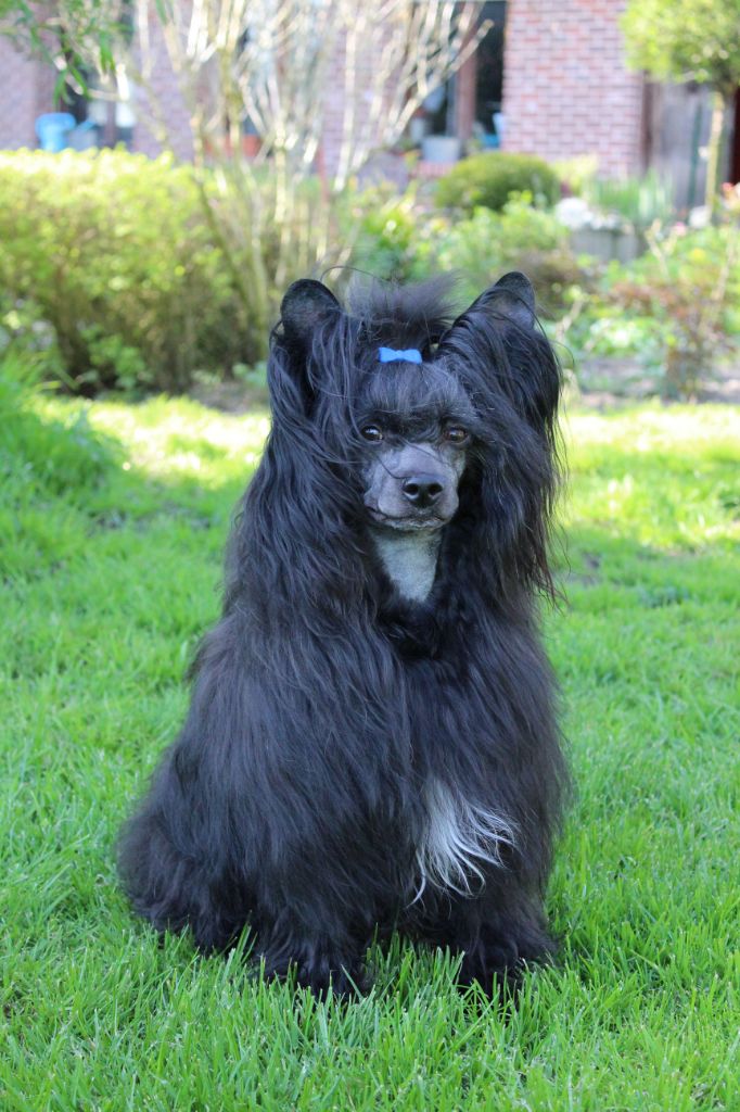 Publication : Exotic Spirit Auteur : Exotic Spirit