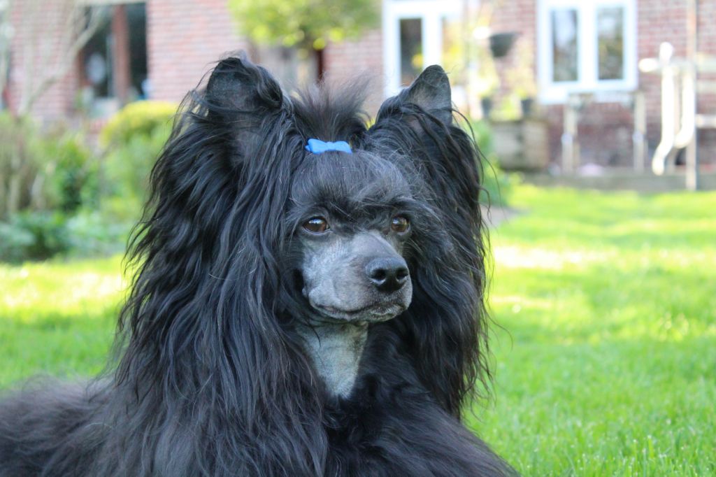 Publication : Exotic Spirit Auteur : Exotic Spirit