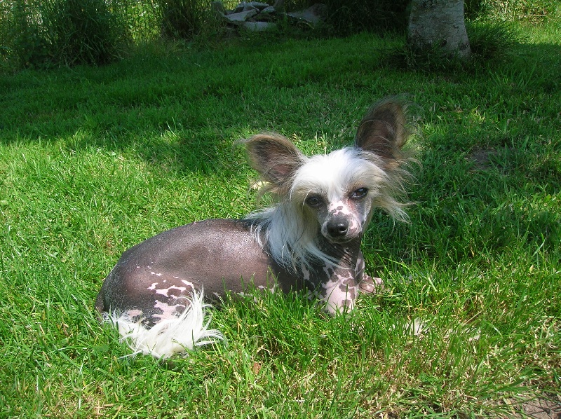 Publication : Exotic Spirit Auteur : Exotic Spirit