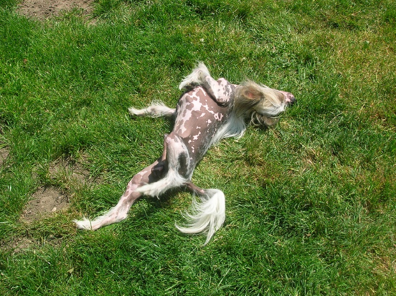 Publication : Exotic Spirit Auteur : Exotic Spirit