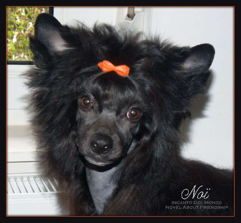 Publication : Exotic Spirit Auteur : Exotic Spirit