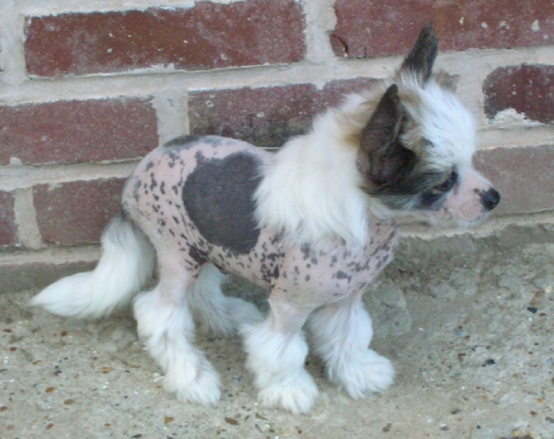 Publication : Exotic Spirit Auteur : Exotic Spirit