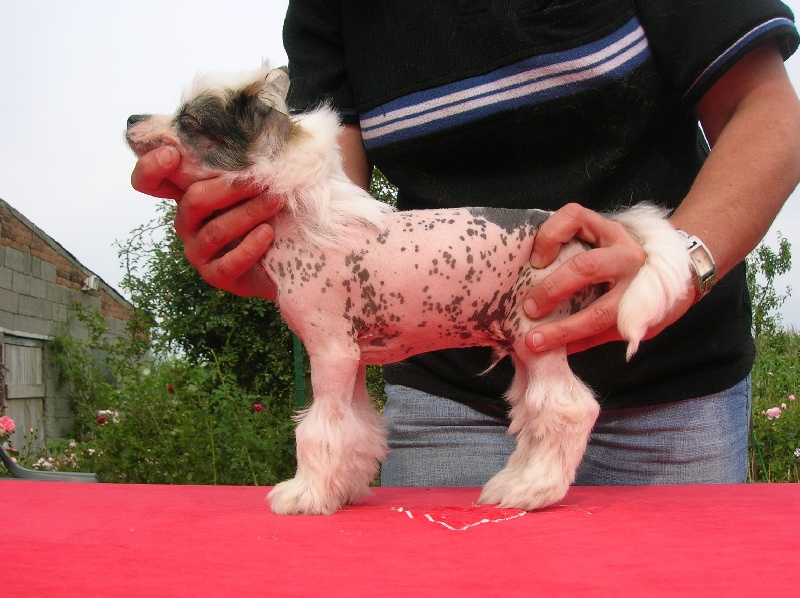 Publication : Exotic Spirit Auteur : Exotic Spirit