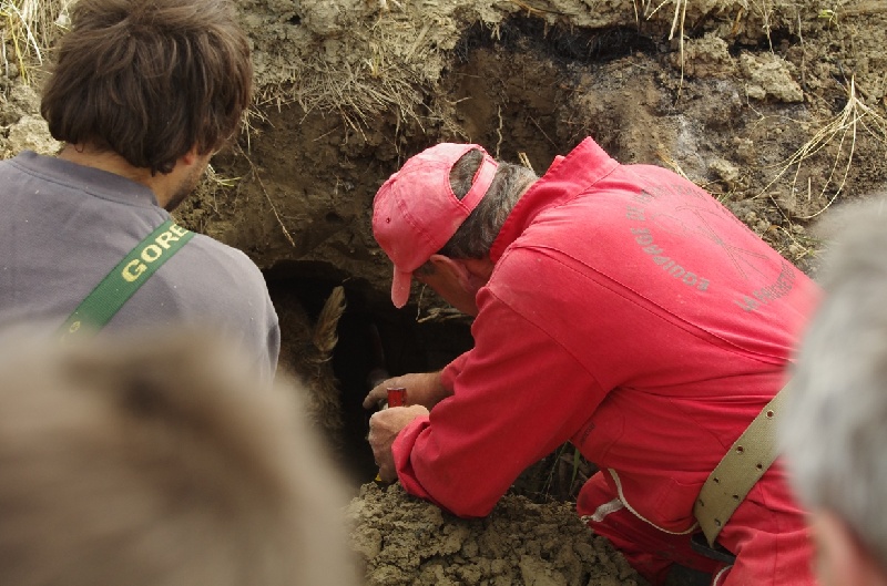 CH. Aiga Viva Fé libre - 150/150 - excellent - CACT