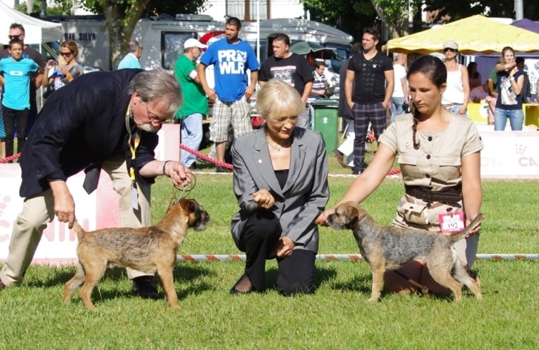 CH. Aiga Viva Fé libre - 1er excellent - CAC CACIB BOB
