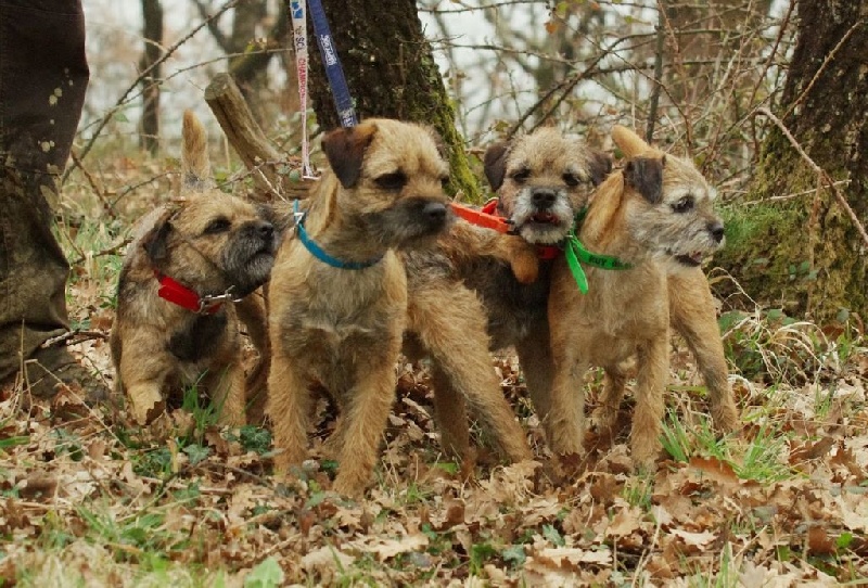 CH. Aiga Viva Fé libre - 125/200 honorable