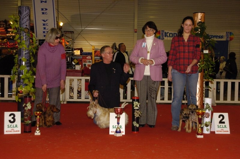 CH. bow valley Caly - 1ère excellent - CACS - CACIB