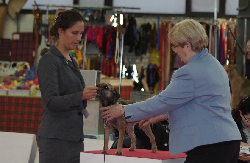 CH. Aiga Viva Fé libre - 1er excellent - CACS CACIB