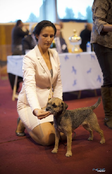 CH. Aiga Viva Fé libre - 1er excellent - RBIS des travail