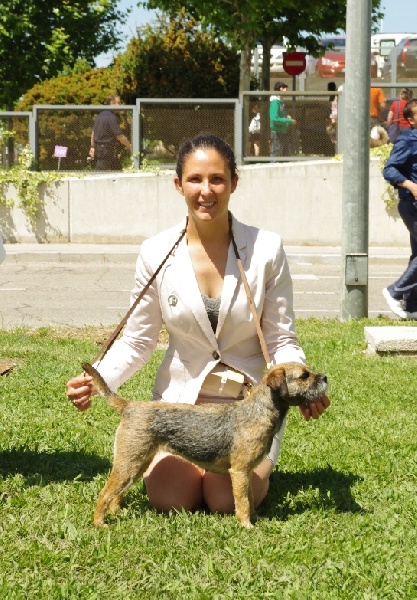 CH. Aiga Viva Fé libre - 1er excellent CAC BOB