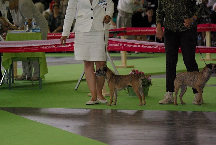 CH. bow valley Caly - Très bon