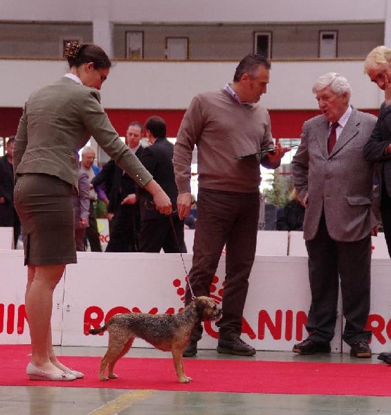 CH. Aiga Viva Fé libre - 1er excellent - CAC - CACIB