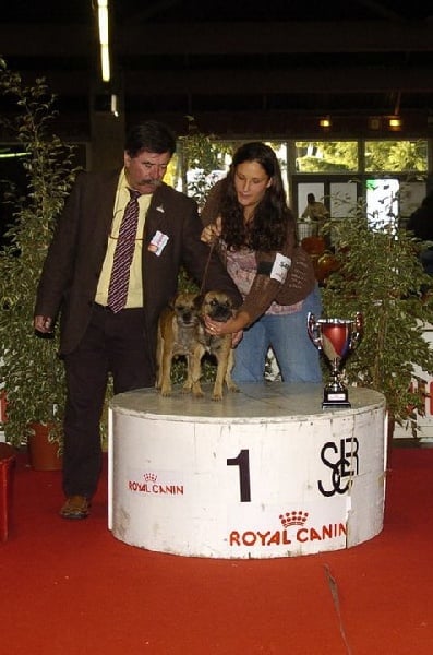 CH. Aiga Viva Fé libre - 1er très prometteur - seule terrier dans les 7 finalistes - meilleure paire