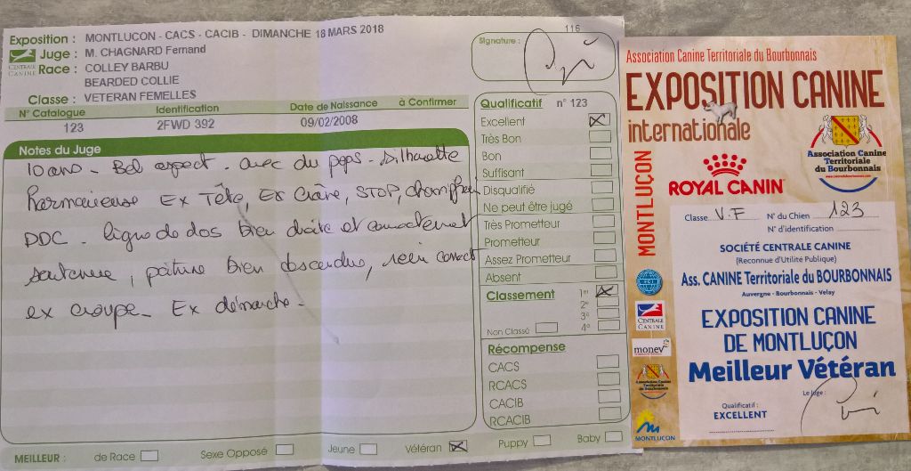 CH. Something Else Deanna - 1 ère EXC Meilleur Vétéran