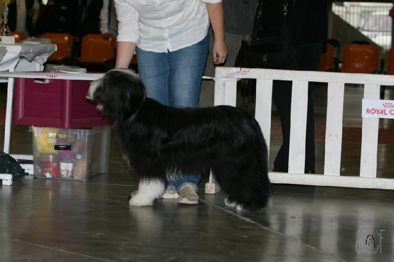 Fleur Du Manoir Des Lucioles - 3ème EXC classe jeune