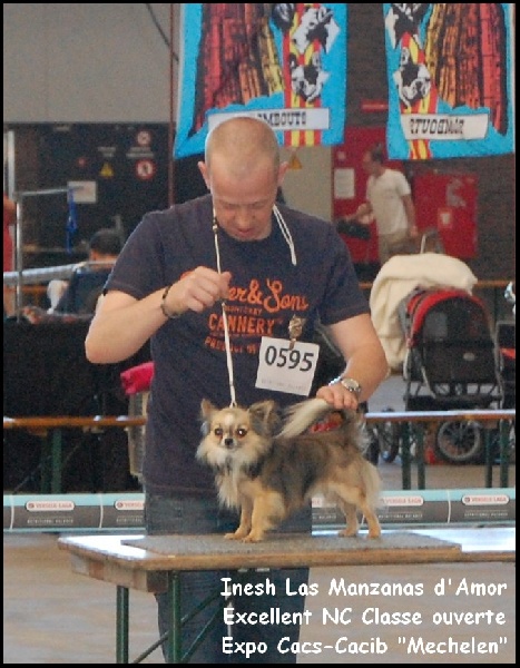 Inesh Las Manzanas D'amor - Excellent classe ouverte