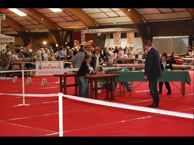 Inesh Las Manzanas D'amor - 2e TRES BON