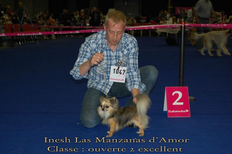 Inesh Las Manzanas D'amor - 2 Excellent