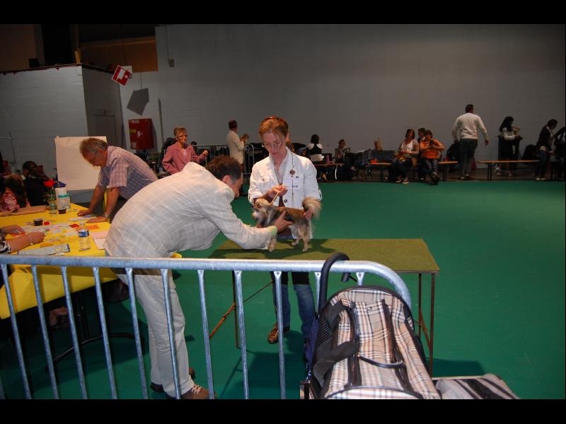 Inesh Las Manzanas D'amor - 3 EXCELLENT