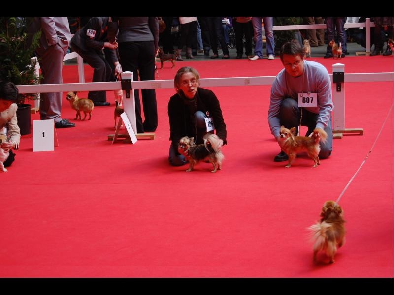 Inesh Las Manzanas D'amor - 4 excellent