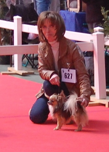 Inesh Las Manzanas D'amor - Classe Ouverte : Très bon