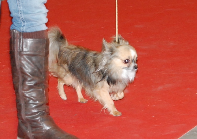 Inesh Las Manzanas D'amor - 4 excellent