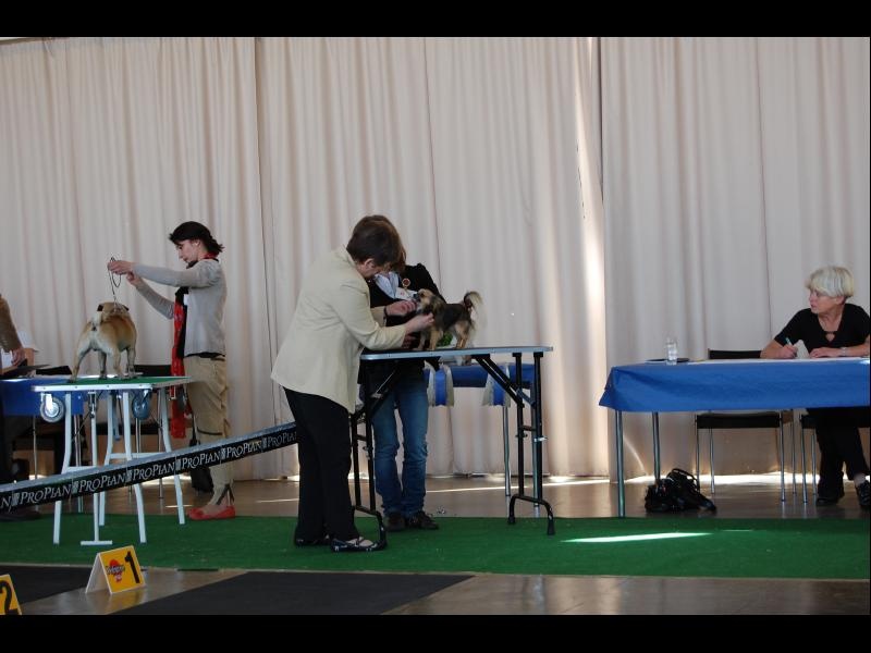 Inesh Las Manzanas D'amor - 1er Très bon