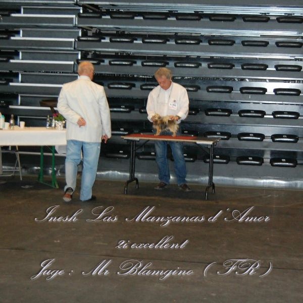 Inesh Las Manzanas D'amor - 2 Excellent